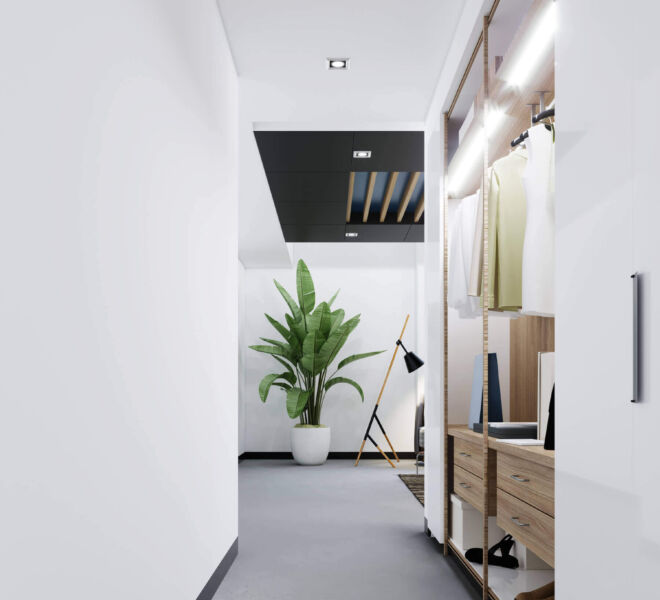 hallway-corridor-with-wardrobe-in-the-apartment-3d-rendering